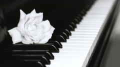 Concerto lirico